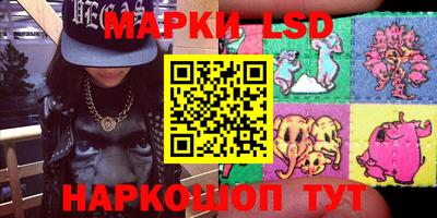 шишки Будённовск