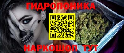 шишки Будённовск