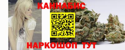 шишки Будённовск