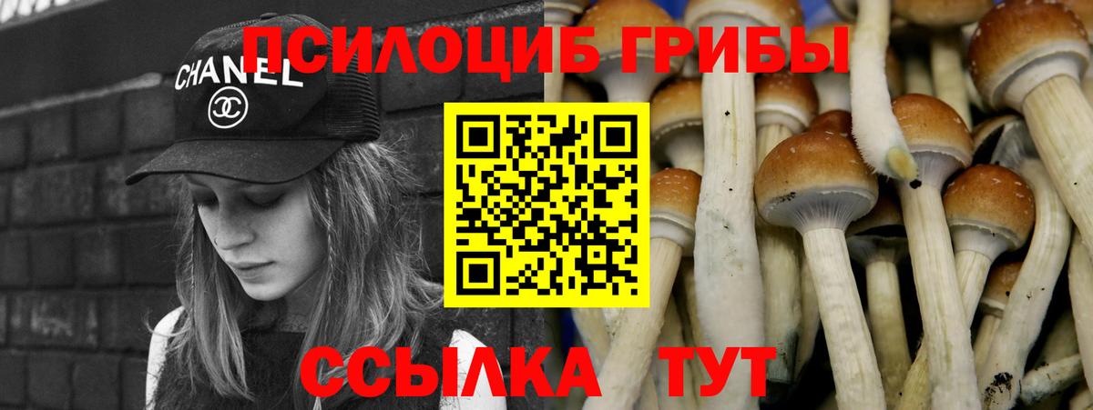 Псилоцибиновые грибы прущие грибы Карабулак